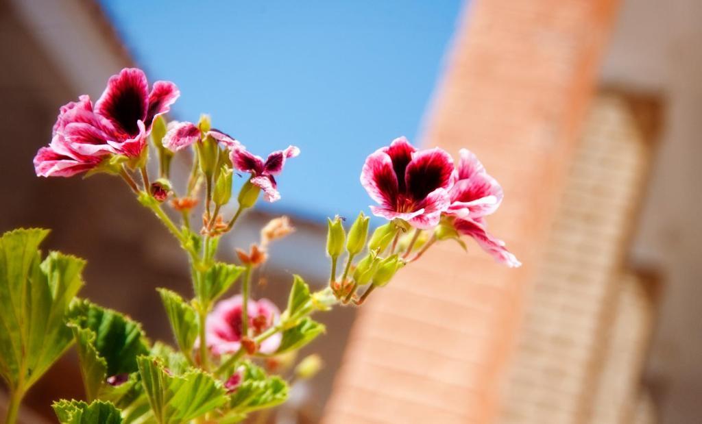 Avra Hotel Tinos ภายนอก รูปภาพ